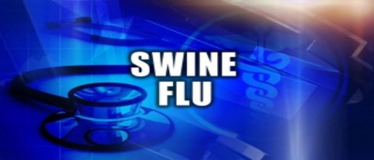 634 positive cases of Swine Flu in Telangana since August